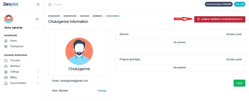 How to remove workspace members on Devpilot